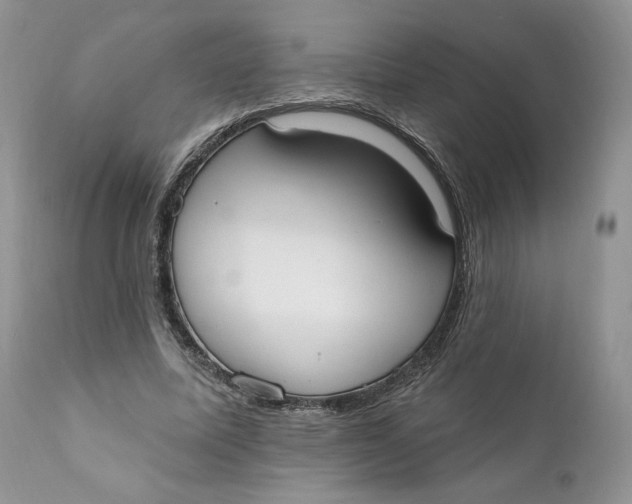 X0000110740587200907061009