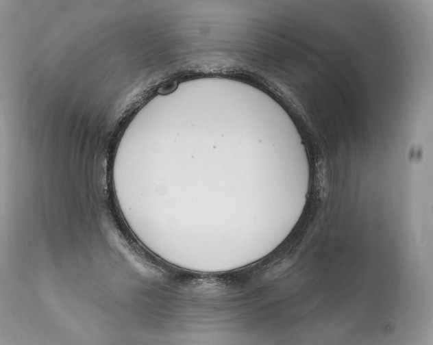 X0000110740589200907061009