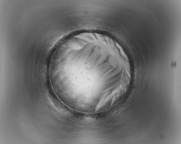 X0000110740592200907061009