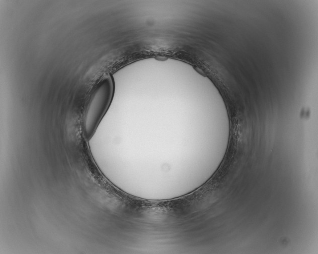 X0000110740593200907061009