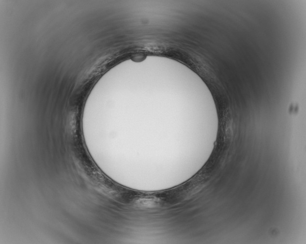 X0000110740595200907061009