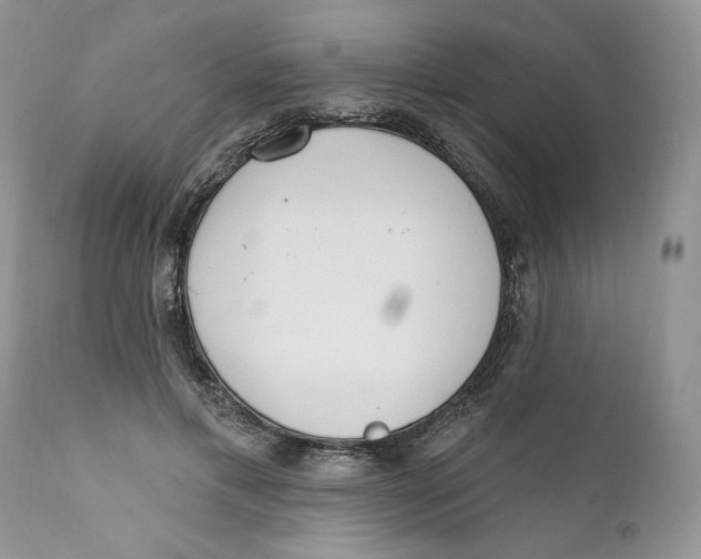 X0000110740597200907061009