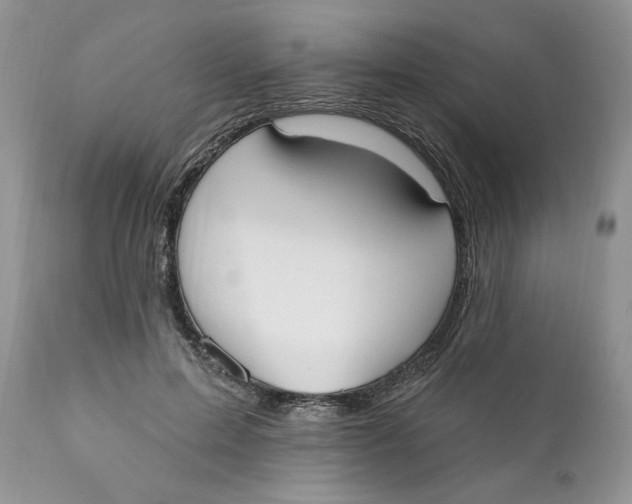 X0000110740599200907061009