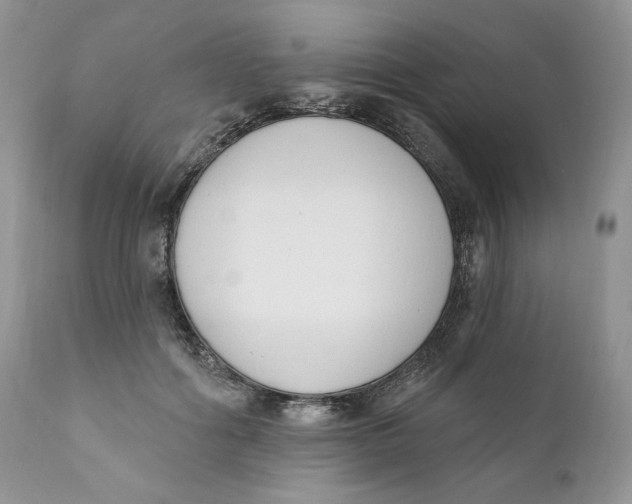 X0000110740602200907061009