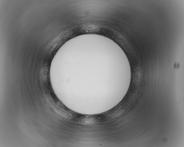 X0000110740604200907061009