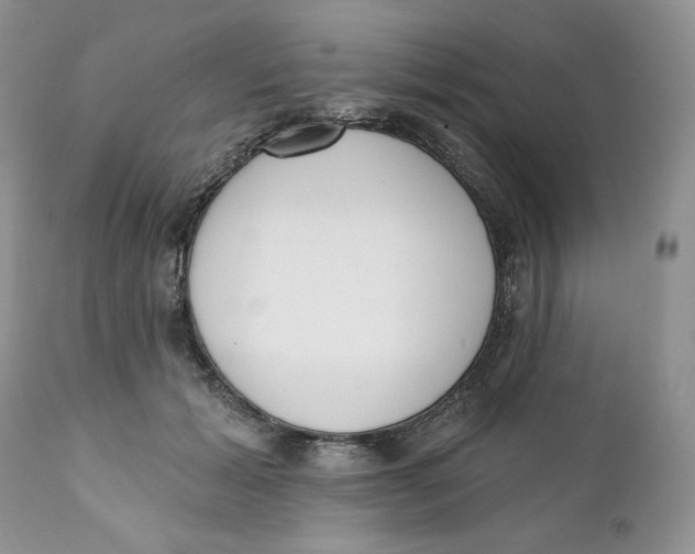 X0000110740605200907061009