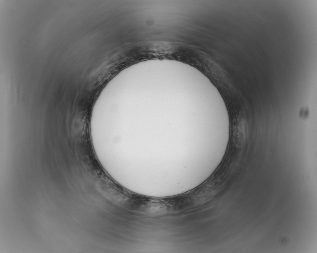 X0000110740608200907061009