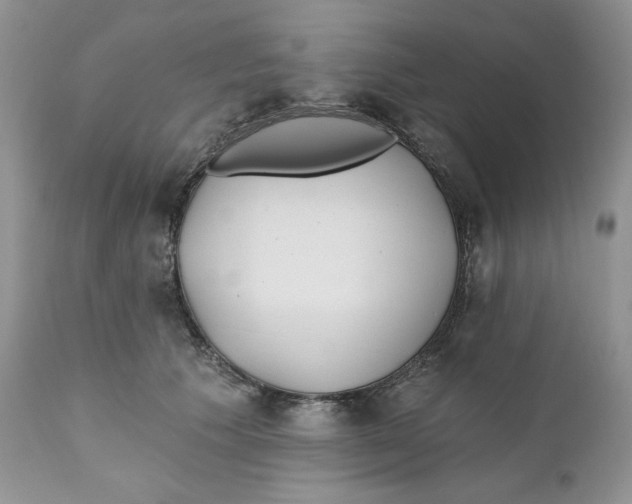 X0000110740609200907061009