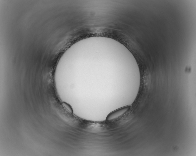 X0000110740611200907061009