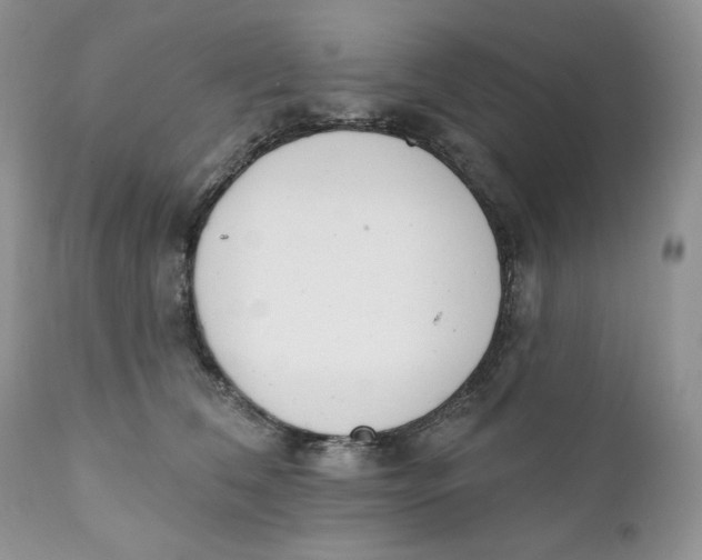 X0000110740612200907061009