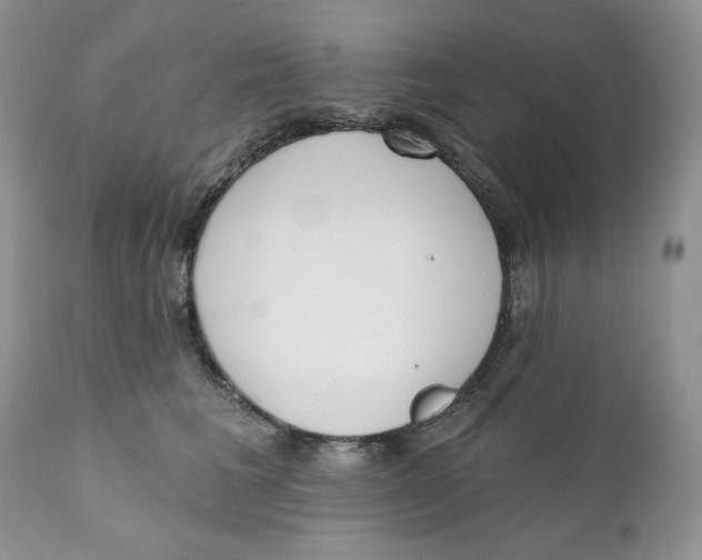 X0000110740613200907061009