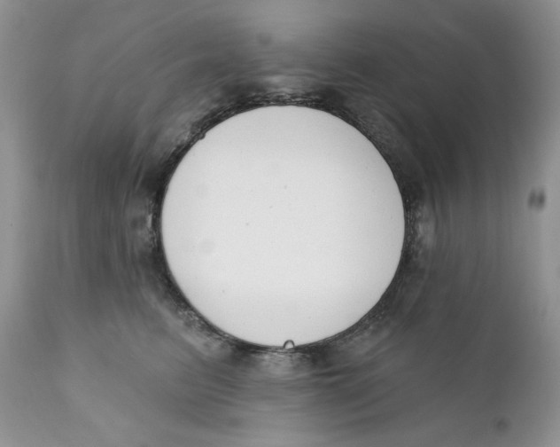 X0000110740615200907061009