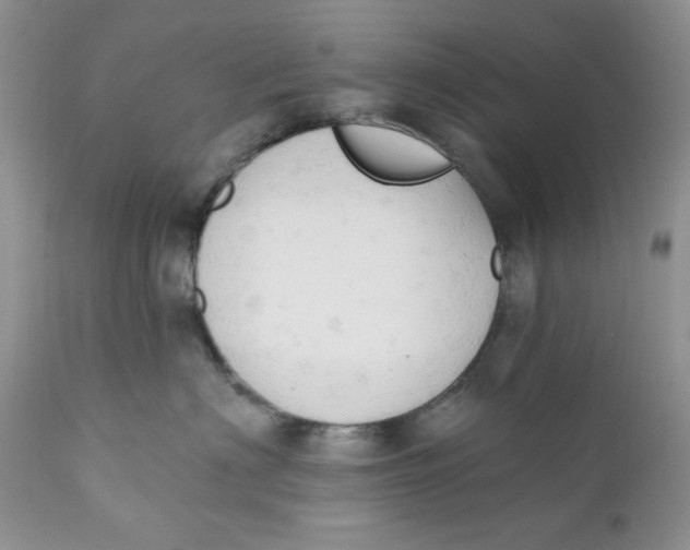 X0000110740622200907061009