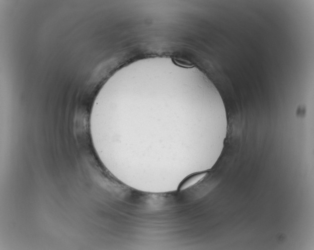 X0000110740623200907061009