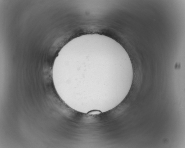 X0000110740624200907061009