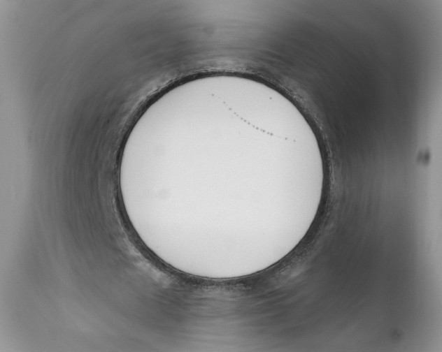 X0000110740625200907061008