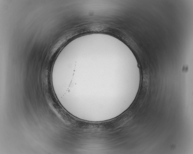 X0000110740626200907061008