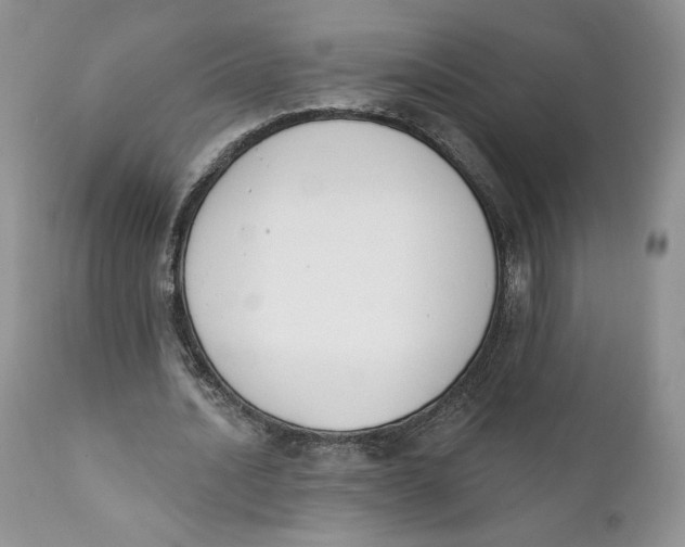 X0000110740628200907061008