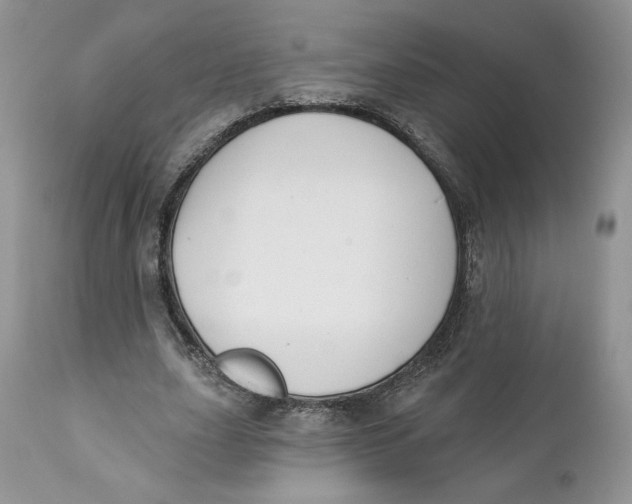 X0000110740631200907061008