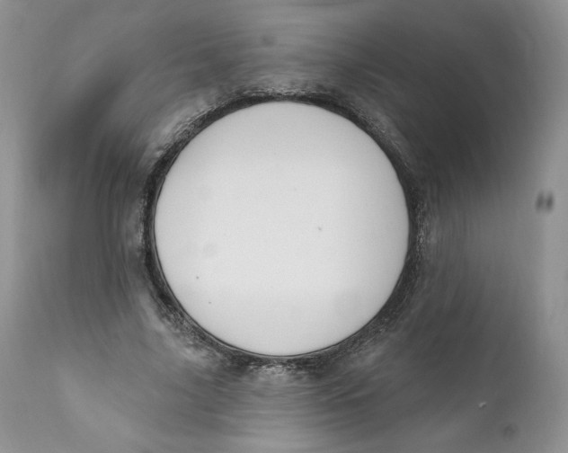 X0000110740635200907061008