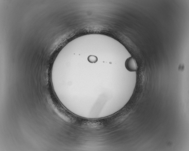 X0000110740638200907061008