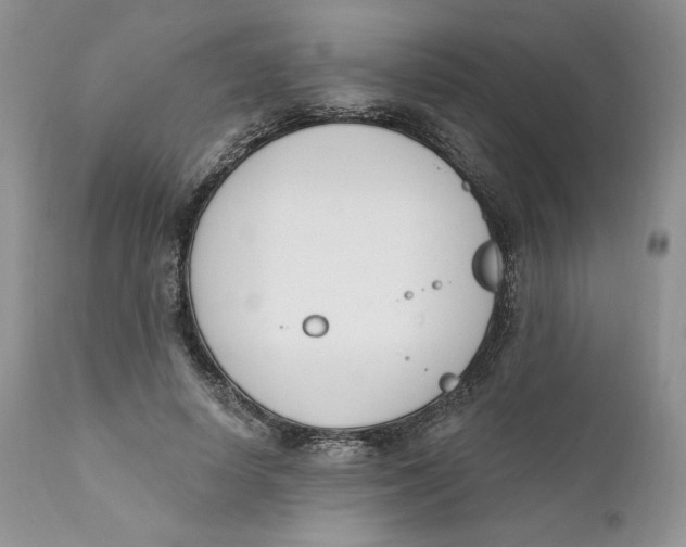 X0000110740642200907061008