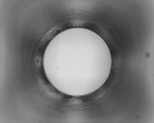 X0000110740648200907061008