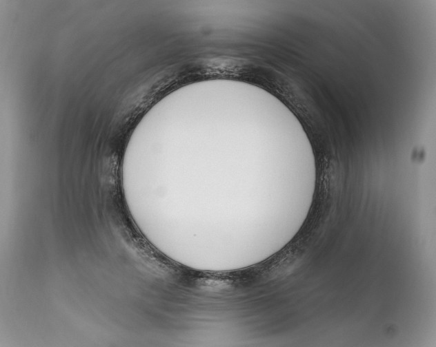 X0000110740649200907061008