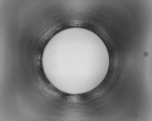 X0000110740652200907061008