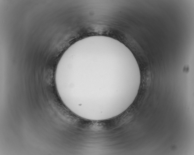 X0000110740656200907061008