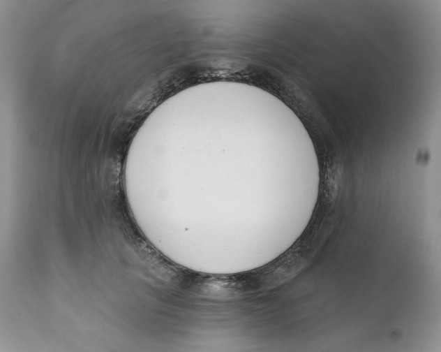 X0000110740657200907061008