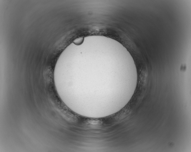 X0000110740659200907061008