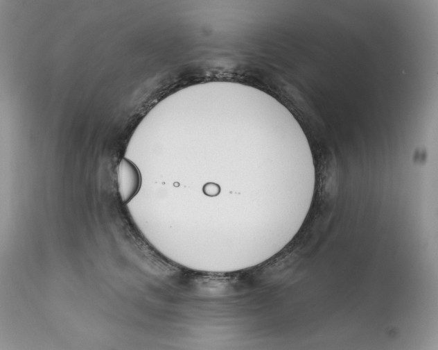 X0000110740661200907061008