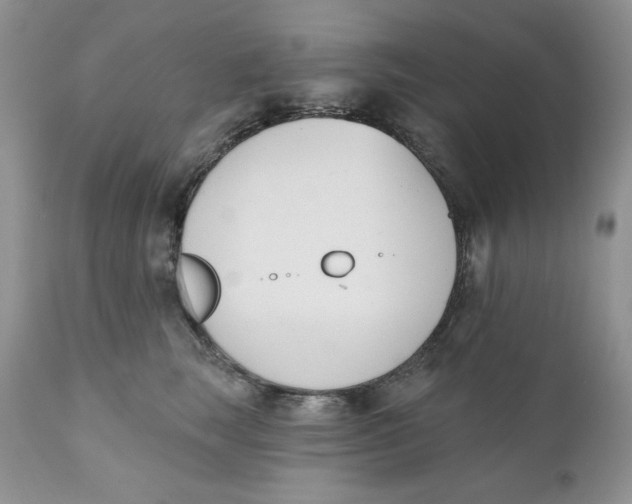 X0000110740663200907061008