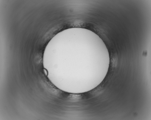 X0000110740665200907061008