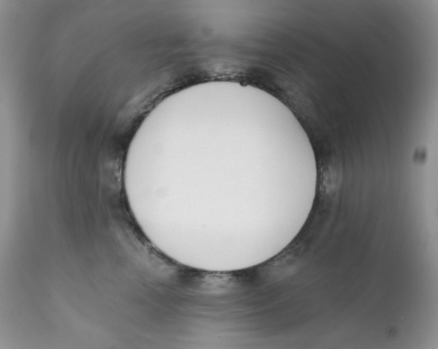 X0000110740666200907061008