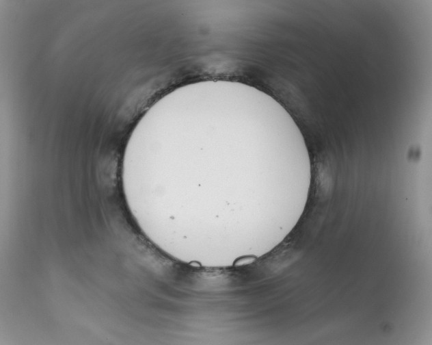 X0000110740668200907061008