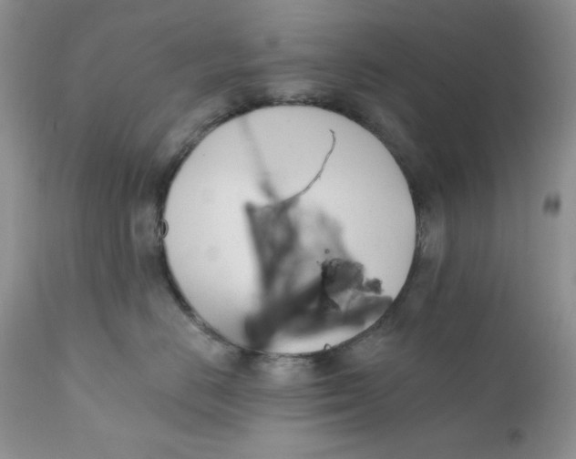 X0000110740670200907061008