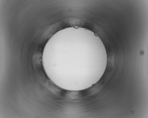 X0000110740671200907061009