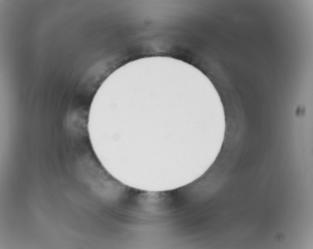 X0000110740672200907061009