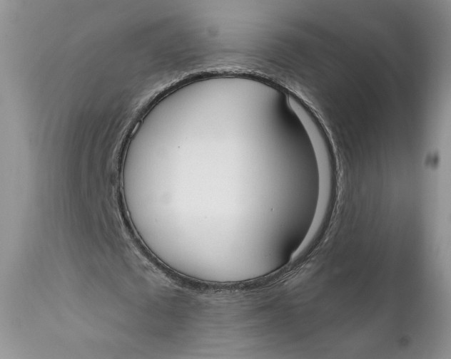 X0000110740673200907061008