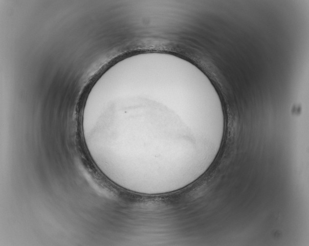 X0000110740674200907061008