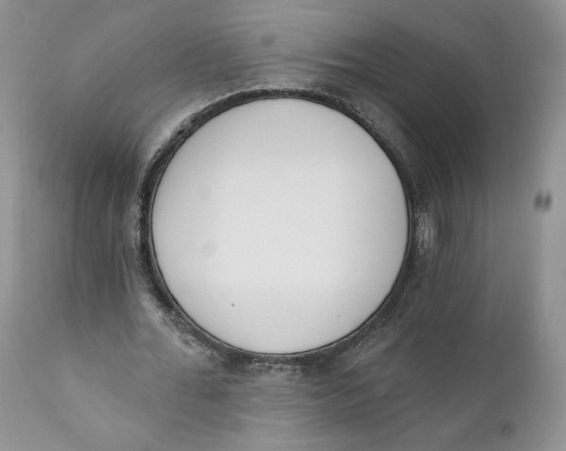 X0000110740676200907061008