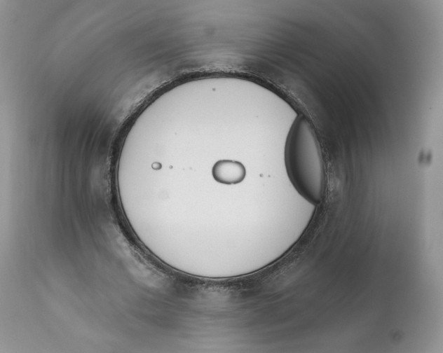 X0000110740677200907061008