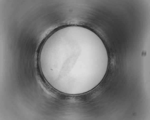 X0000110740678200907061008