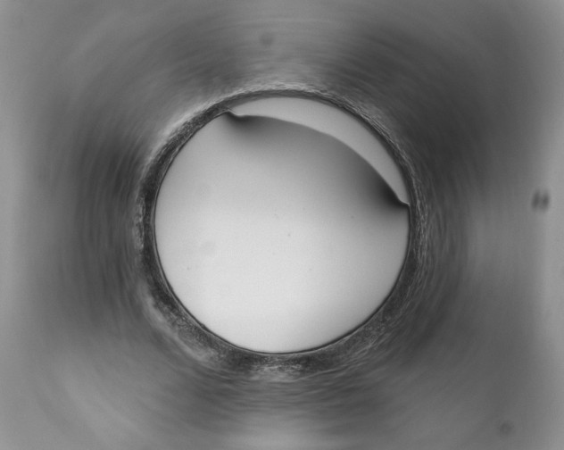 X0000110740680200907061008