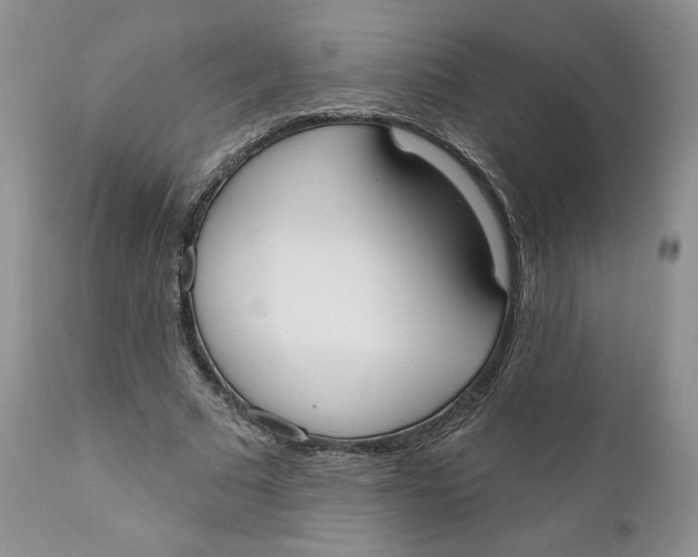 X0000110740681200907061008