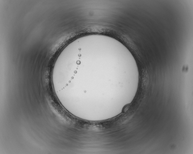 X0000110740683200907061008