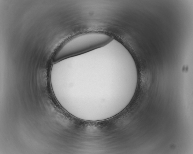 X0000110740684200907061008