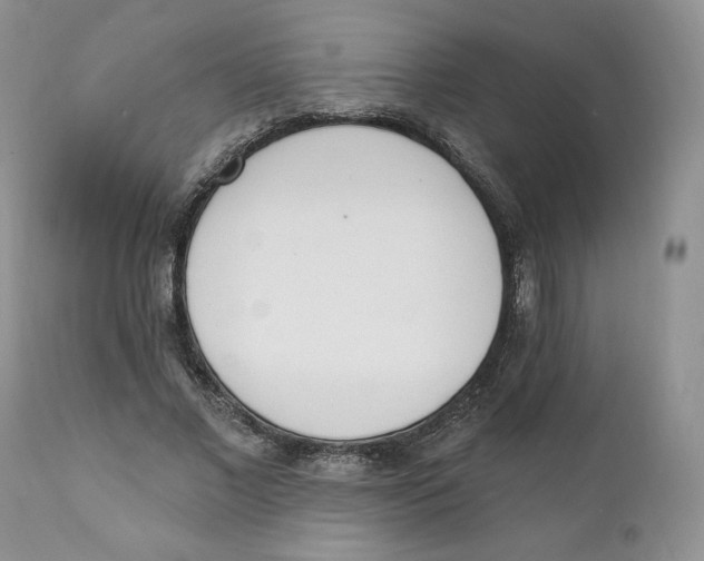 X0000110740685200907061008